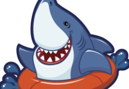 食品原料小百科：硫酸軟骨素可以用在什么地方？