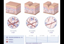 水潤皮膚的秘密武器，乙酰殼糖胺和透明質(zhì)酸的甜蜜聯(lián)盟！